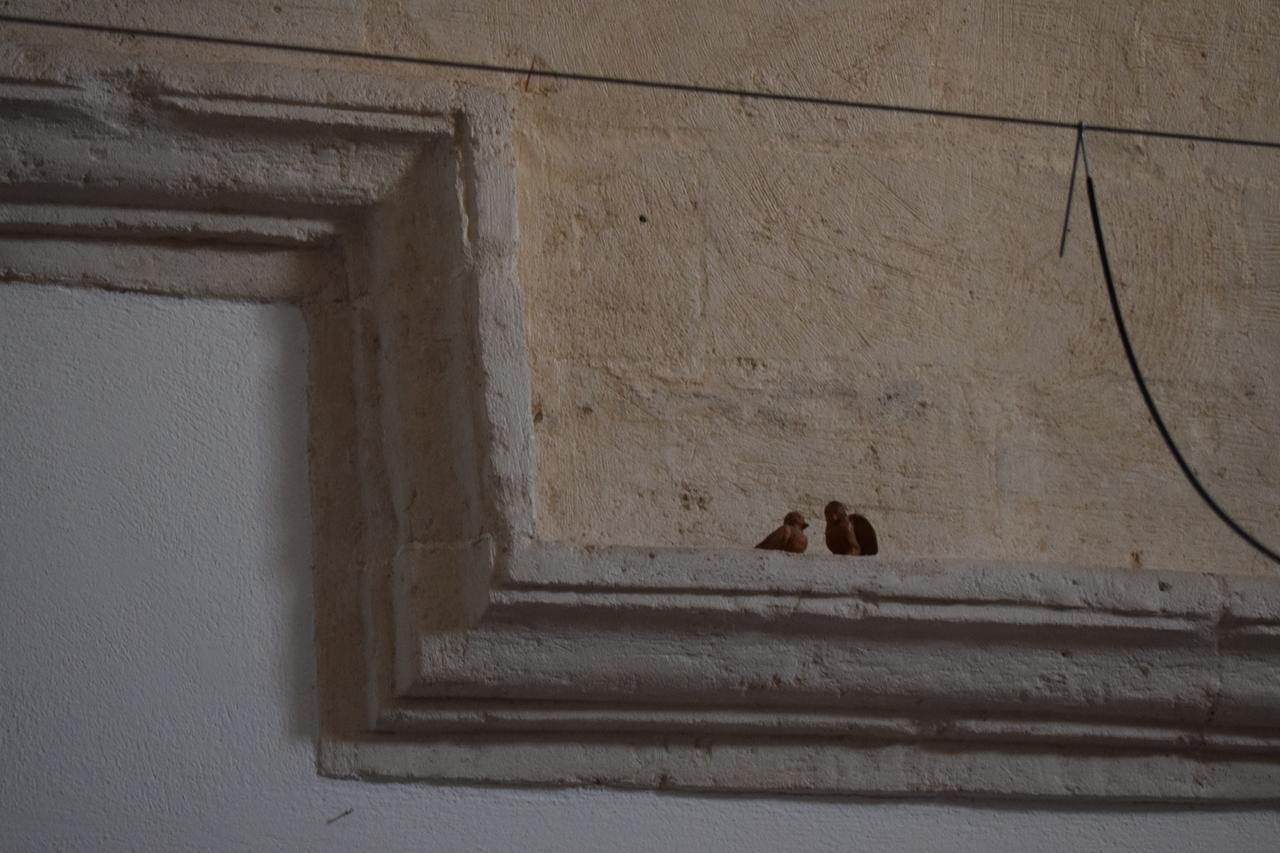 Corte Dei Venti Matera Bagian luar foto